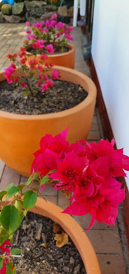 Summer Sand Holiday Cottages سكوتبرغ المظهر الخارجي الصورة
